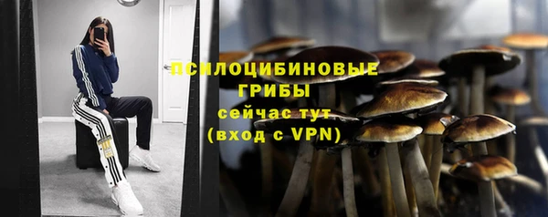 дурь Карталы