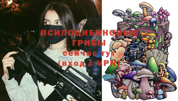 a pvp Киренск