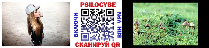Купить где  Учалы  Галлюциногенные грибы мицелий 